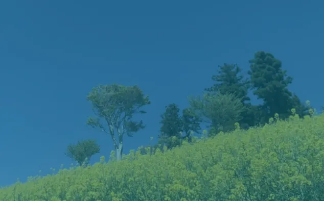 環境マネジメントシステムの継続的改善を表すイメージ（丘と木々）